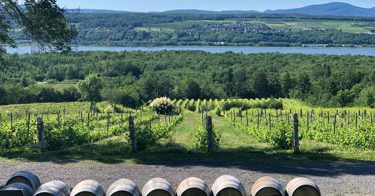 Ile d'Orleans Wine Tour